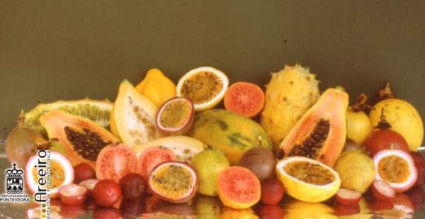 Composiciones frutales - Fruit arrangement - Composicions frutais >> Composiciones Frutales - Conjunto tropicales.jpg